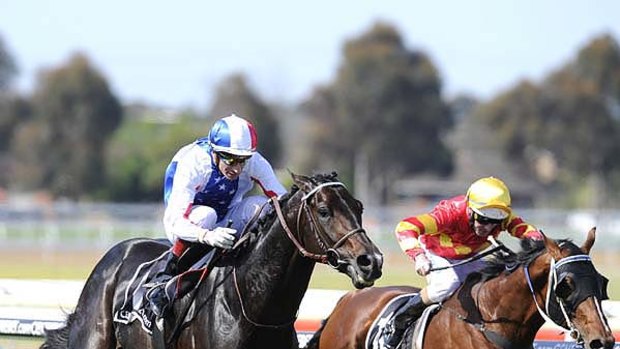 International flavour ... Frenchman Gerald Mosse pilots American to victory in the Geelong Cup yesterday.