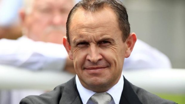 Mile master: Trainer Chris Waller is now looking forward to the big races at Randwick on Saturday.