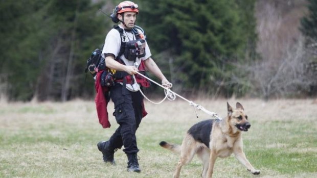 A search and rescue worker and canine look for mudslide survivors near Oso.