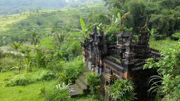 Green scene: A shrine at Pacung near Lake Beratan. Balinese rice terraces are now World Heritage-listed by UNESCO.