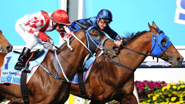 Tough win: Buffering just hangs on to defeat Lucky Nine in the Manikato Stakes.