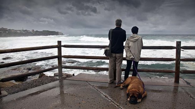 Sea for yourself: Overcast skies and stormy waves make a bleak scene for this couple and their dog at Bronte on Sunday.