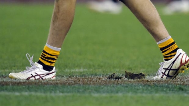 A junior footballer has been banned for 10 years after assaulting an umpire.