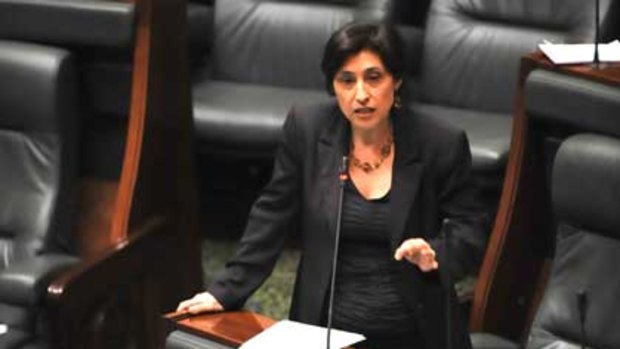 Fresh face ... Mill Park MP Lily D'Ambrosio addresses State Parliament in 2008.