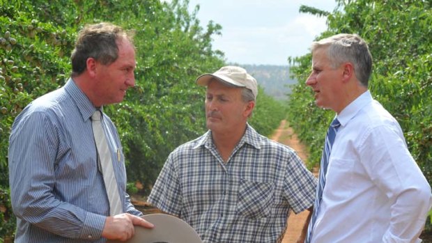 Barnaby Joyce (left) with almond and rice grower Denis Dinicola and Nationals member for the Riverina Michael McCormack.