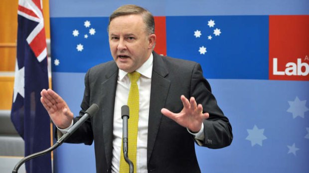Constructive thinking and strategic actions: Anthony Albanese advises the Labor caucus last Thursday.