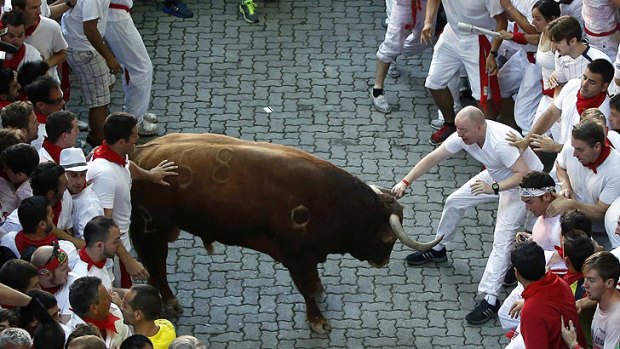 A runner grabs the horn of an Alcurrucen fighting bull at the entrance to the bull ring during the first running of the bulls in Pamplona.