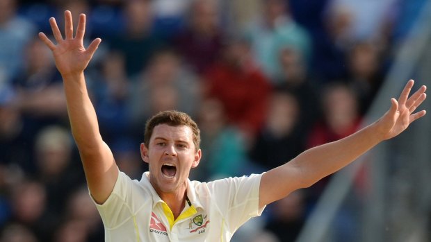 Sunset claws: Australian paceman Josh Hazlewood is concerned for fielders square of the wicket.