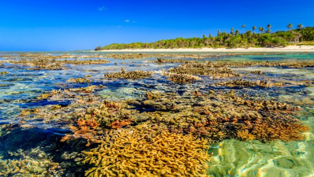 One of the many reefs along Fiji's Coral Coast. 
