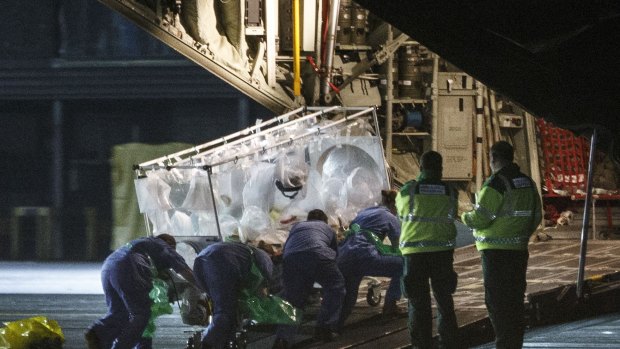 Pauline Cafferkey is airlifted from Scotland to London in a quarantine tent aboard a Hercules transport plane on December 30 after being diagnosed with Ebola.