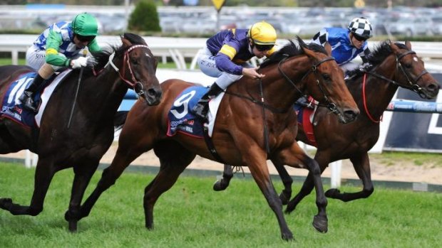Protectionist (right), with Craig Williams in the saddle, finished behind Big Memory (Tommy Berry) and Signoff (Glenn Boss) in the Herbert Power Stakes on Saturday.