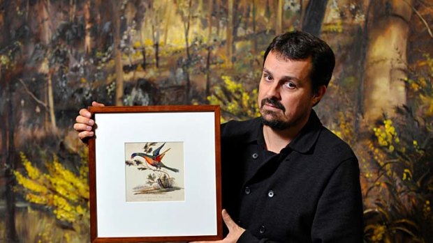 Comedian Sean Dooley proves that people have been drawing lorikeets since at least 1795.