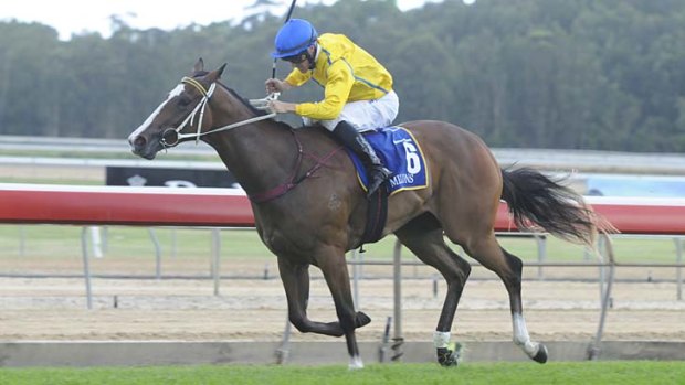 Gold class &#8230; Magic Millions Classic favourite Assail enhanced her reputation as one of the country's best juveniles with a runaway win at Wyong last month.
