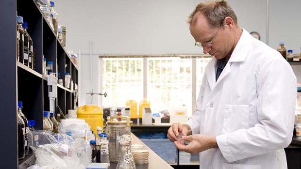 Fuelled &#8230; Dr Philip Bell, the director and head of research in the Microbiogen genetics laboratory, prepares samples.