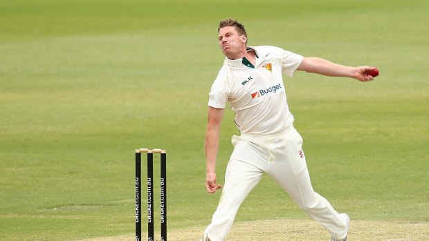 Cotton wool: James Faulkner has been used only sparingly for Tasmania to keep him fit for the New Zealand series.