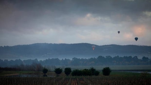 Hot air balloons rising over the Yarra Valley this morning.
