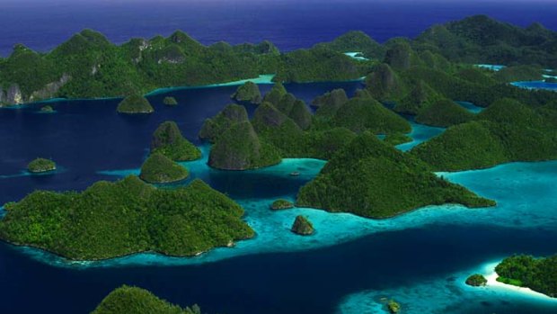 Strong currents that rush between the islands of West Papua's Raja Ampat (pictured) help seed much of the 1.6 billion hectares of reefs and marine life that spread from the Philippines to the Solomon Islands.