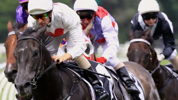 Tough customer: Charge Account wins at Warwick Farm in February.