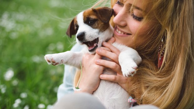 A new study has found dog ownership is linked to improved heart health for humans.