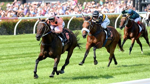 Jockey Luke Nolen rides Black Caviar to yet another victory.