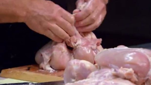 The Queenslanders dissected a chook, only to put it back together again. 