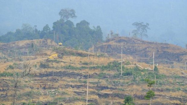 Heavy machinery makes new terraces for oil palm trees in freshly cleared forest inside the Leuser Ecosystem. Local activists say this clearing is illegal. 