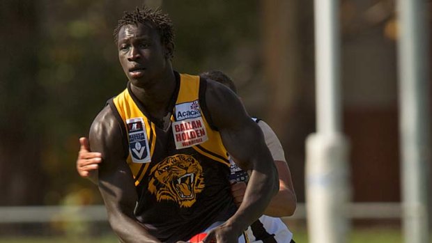 Majak Daw... has been gaining skills and experience in the VFL after being selected by North Melbourne in the 2010 rookie draft.