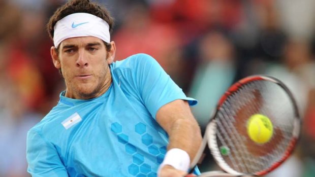 "I think he knows everything and he knows the way to be a fantastic player" ... Del Potro on Tomic.