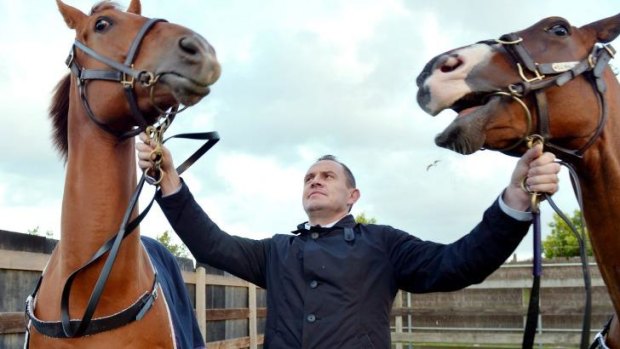 Chris Waller with Hawkspur (left) and Foreteller. 