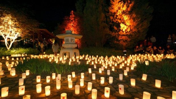 All lit up: Candles glow at last year's Canberra Nara Candle Festival.