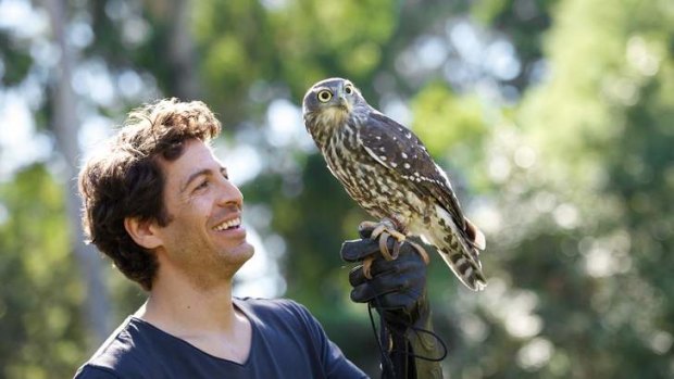 <i>Healing</i> star Don Hany with a barking owl at Healesville Sanctuary last week.