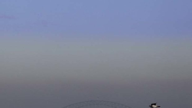 Sydney has experienced both smog and fog this week.