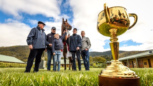 Winner of the Melbourne Cup Almandin at Lloyd Williams stables at Mt. Macedon.