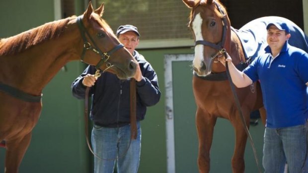 Partnership: Peter and Paul Snowden in their Darley days before going it alone.