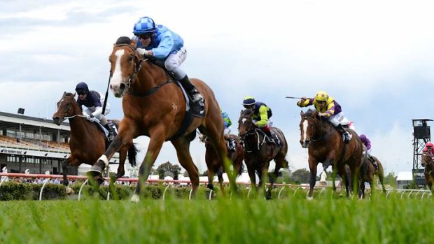 No doubt about it: Silver Slipper hope Risen From Doubt scores at Flemington.
