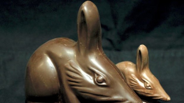Endangered yet delicious...bilbies from Haigh's Chocolates.