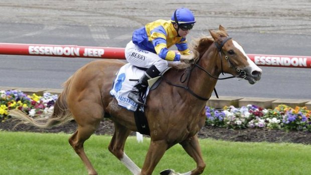 The Neville Layt-trained Karuta Queen will go to auction at the Magic Millions broodmare sales in May.