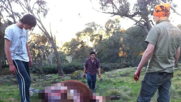 Police are searching for three men suspected of illegally killing a steer