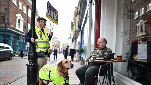 Every man and his dog: Campaigning in the run-up to the key Rochester and Strood byelection. 