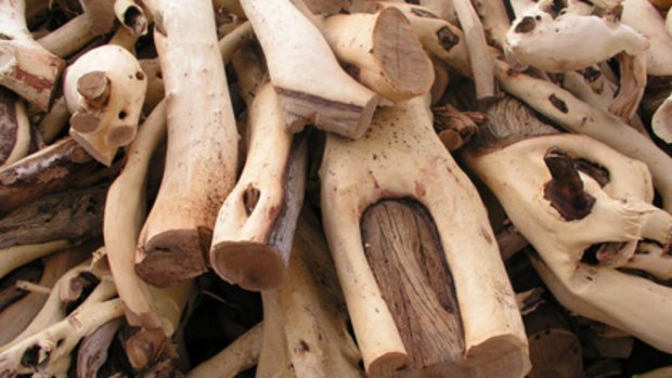 Stealing large quantities of sandalwood is particularly rife in India.