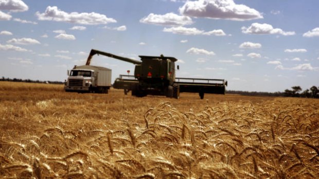 Harvest time: GrainCorp's rising share price suggested the offer could go higher.