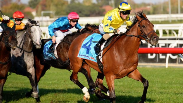Warming up: Midsummer Sun wins at Caulfield in May and will contest the Zipping Classic there on Saturday.