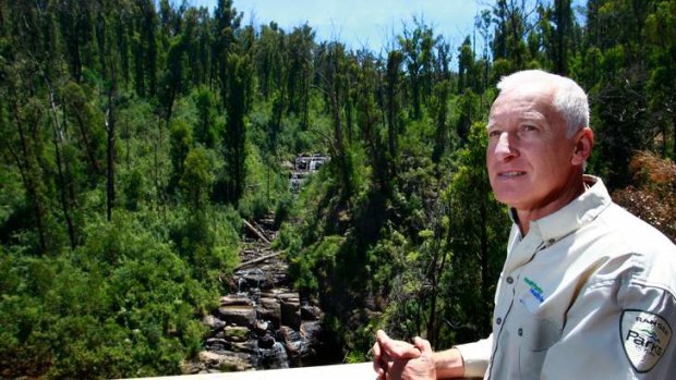 Ranger Ion Maher at Kinglake National Park