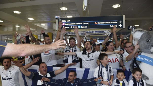 Hello Spurs: Tottenham fans wait at Sydney's international airport for their team to arrive prior to the game against Sydney FC.
