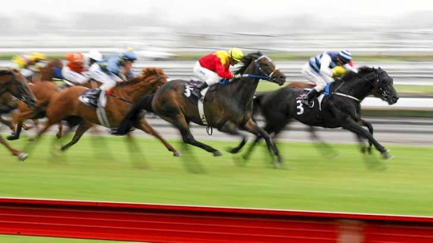 Racing Victoria has demanded that Punting Pal cease betting on Victorian thoroughbred racing.