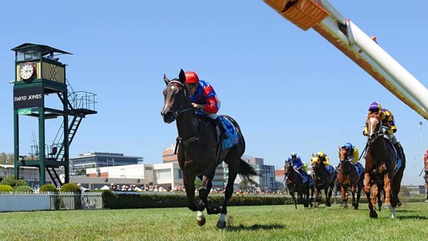 Impressive: Jockey Vlad Duric was full of praise for Nayeli after a strong win in the Chairman's Stakes at Caulfield.
