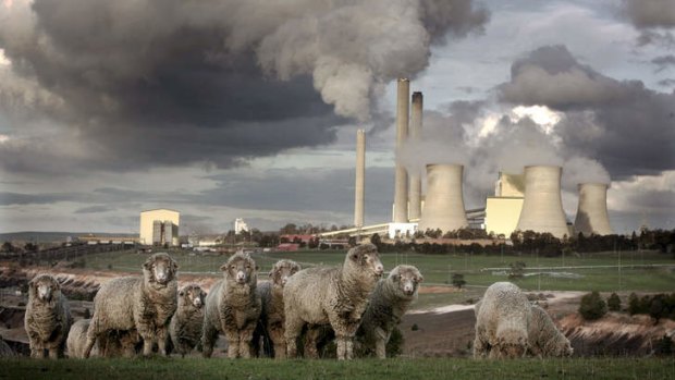 Labor is considering supporting the scrapping of the carbon tax to allow for a wider argument for action against climate change.
