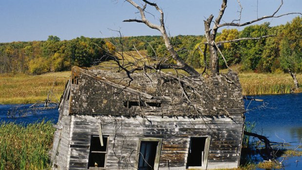 Call of the wild ... a marsh reclaims an old homestead.