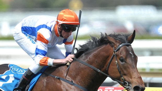 Nash Rawiller rides Jimando to victory in race two at Thousand Guineas Day at Caulfield last year.