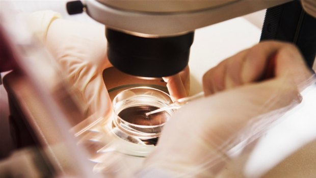 12,000 Australian babies were born thanks to IVF in 2010 alone.